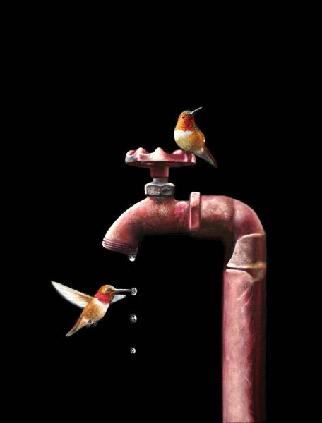 Drip forup color trees email copy