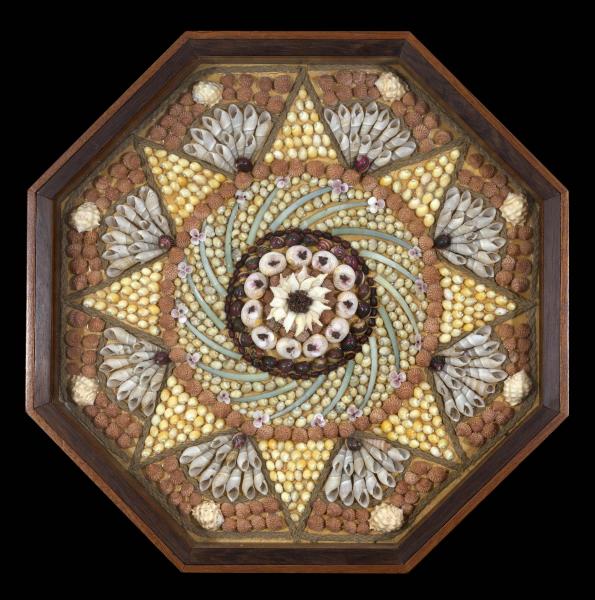 Green Spine, assorted shells, 16 x 2 x 16 inches, $3,200 