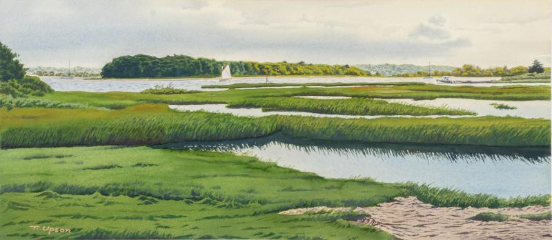 Wingsneckmarshupsonlr