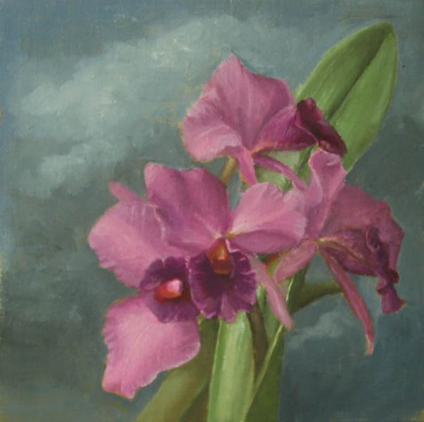 Cattleya Orchids, oil on panel, 8 x 8 inches, $895 