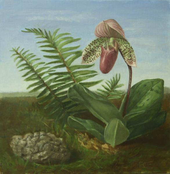 Lady Slipper Orchid, oil on panel, 10 x 10 inches, $1,195 