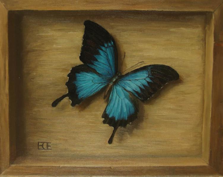 Butterfly 2