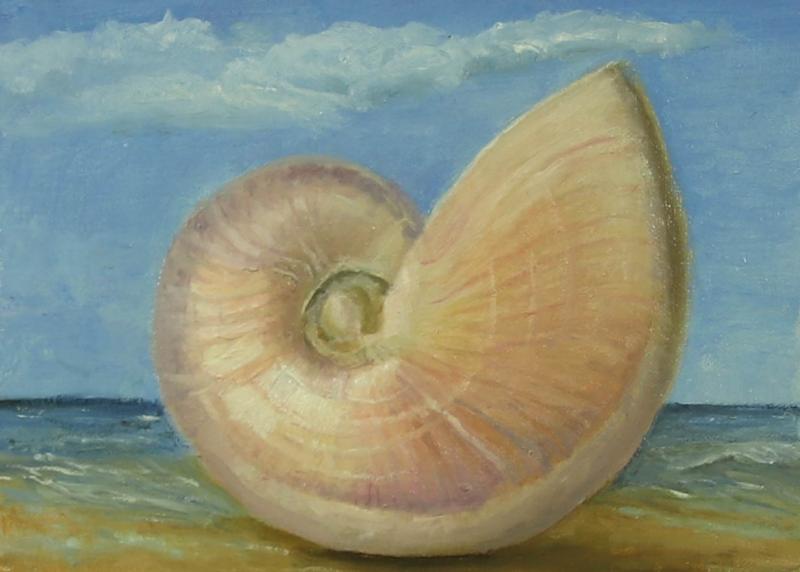 Nautilus Study, oil on panel, 5 x 7 inches, $350 