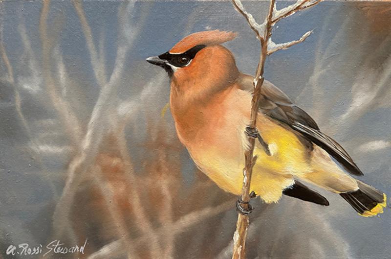 Cedar Wax Wing, oil on panel, 4 x 6 inches   SOLD 