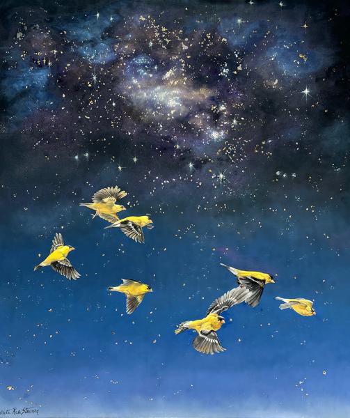 Fly by night adjusted web res