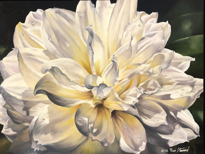 White Dahlia, oil on panel, 12 x 16 inches, $3,200 