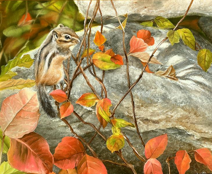 The rock climber web res